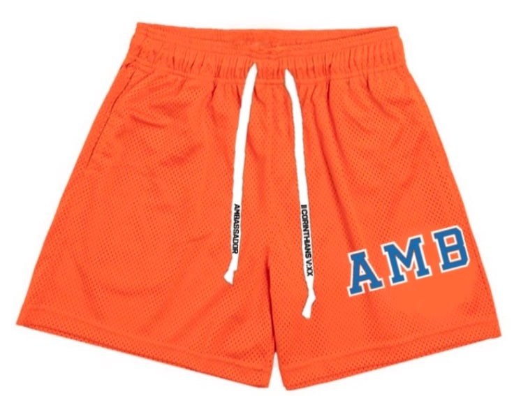 Orange AMB Classic Mesh Shorts